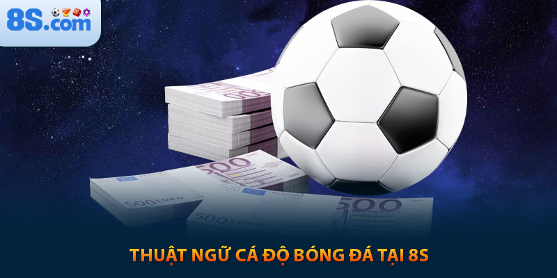 Cá Cược Bóng Đá 8s: Hiểu Rõ Để Thắng Lớn 3 Thuật ngữ cá độ bóng đá tại 8s